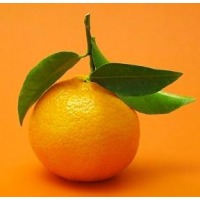 tangerine's picture