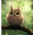 Smart Owl's picture