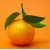 tangerine's picture