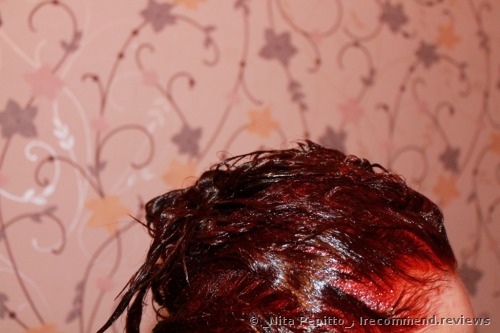 Garnier Olia Hair color