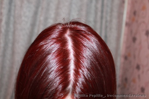 Garnier Olia Hair color