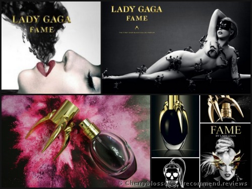 Lady Gaga Fame 
