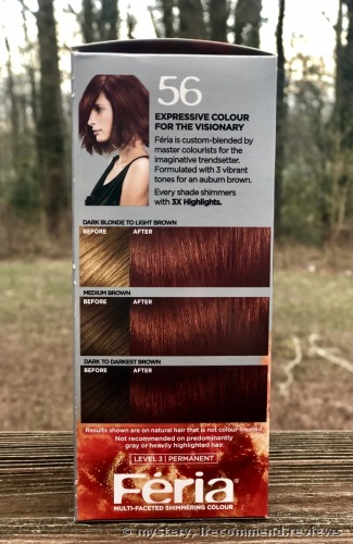 L'Oreal Paris Feria Multi Faceted Shimmering Hair Colour 3X Highlights 
