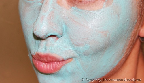 Freeman Dead Sea Minerals Facial Anti-Stress Mask 