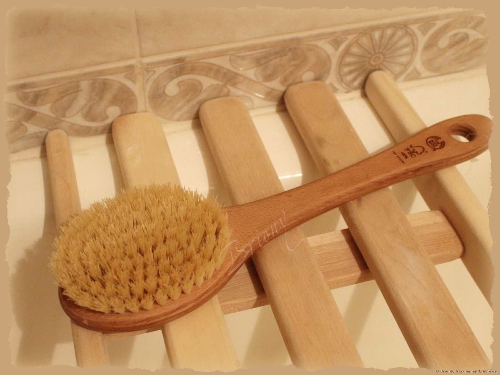 flicker hed opnå The Body Shop Cactus Long Handle Body Brush - «That's a real flayer! It  shaves off both cellulite and skin. Painful. Quick results guaranteed.  Peculiarities and dangers of dry brushing.» | Consumer reviews