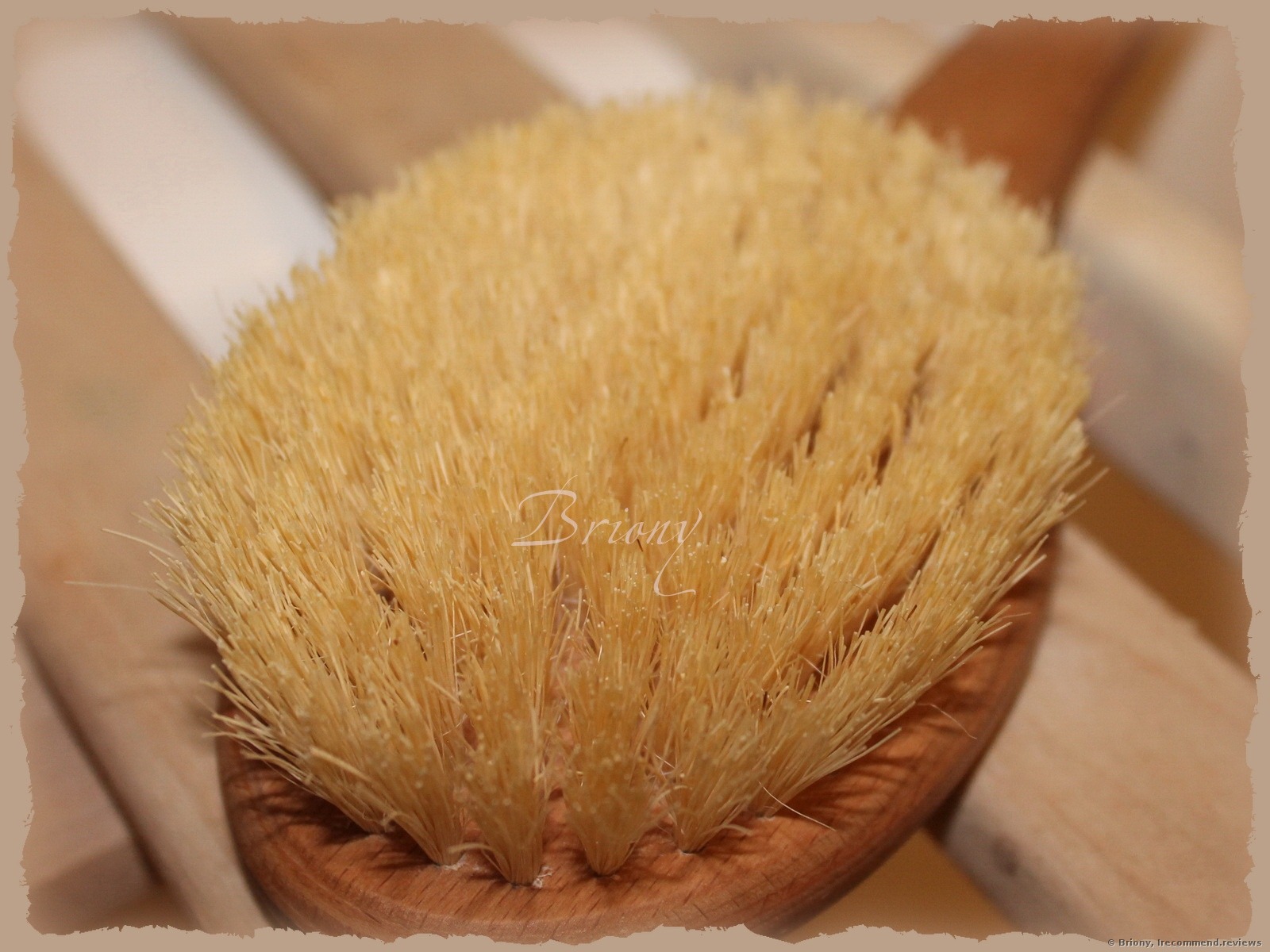 flicker hed opnå The Body Shop Cactus Long Handle Body Brush - «That's a real flayer! It  shaves off both cellulite and skin. Painful. Quick results guaranteed.  Peculiarities and dangers of dry brushing.» | Consumer reviews