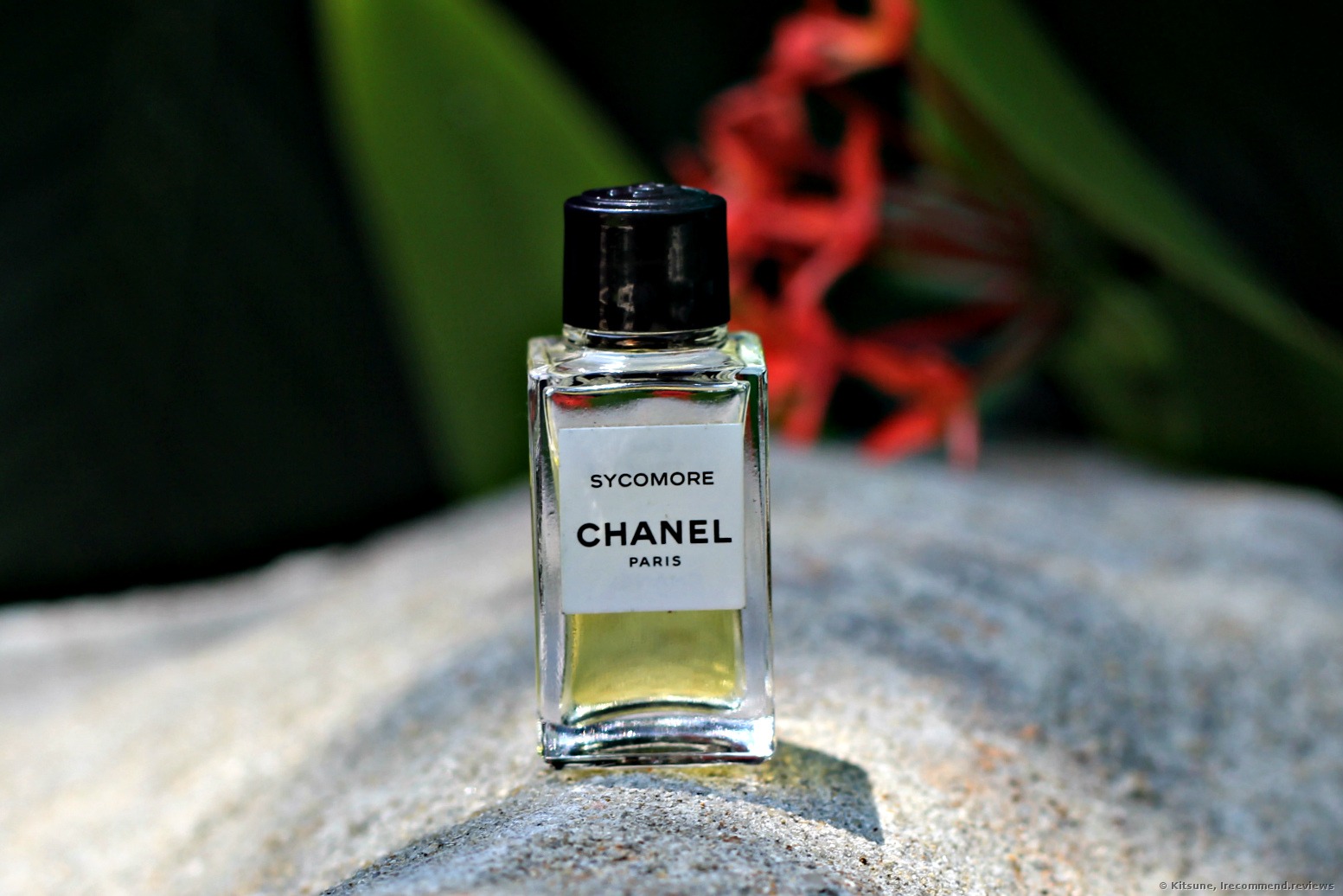Chanel Gardenia Review